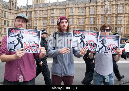 2013-05-25 Westminster, London. Activists demonstrate outside Parliament against crop seed giant Monsanto. Stock Photo