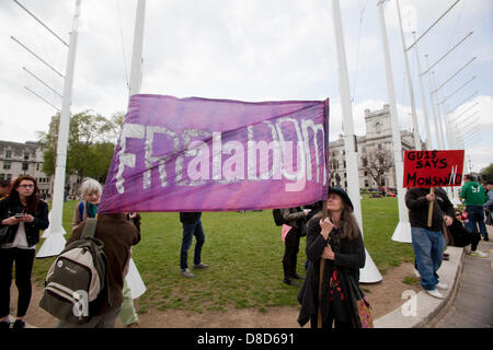 London, UK.  25th May 2013. Protests held against GM food manufacturer Monsanto, outside Parliament in London as part of a worldwide day of action against international crop seed giant, Monsanto. Credit: Sebastian Remme /Alamy Live News Stock Photo