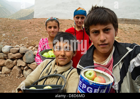 Tajik children selling apples Stock Photo