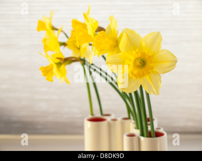 yellow daffodils in a white vase in front of a window blind Stock Photo