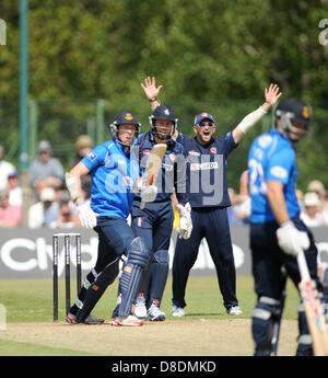 Horsham Sussex UK 26 May 2013 -  Sussex batsman Luke Wells is dismissed first ball LBW as Sussex Sharks take on Kent Spitfires Stock Photo