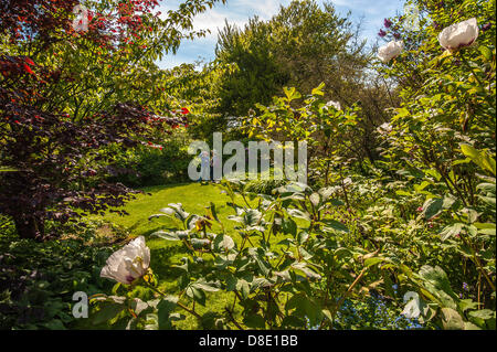 Highdown Gardens, Worthing, West Sussex, UK. 26th May 2013.  Visitors enjoy the spring sunshine at Highdown Gardens, Worthing, West Sussex, photo Credit: Julia Claxton /Alamy Live News Stock Photo