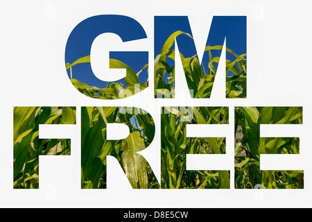 Image in Text isolated on White. GM Free food concept. Stock Photo