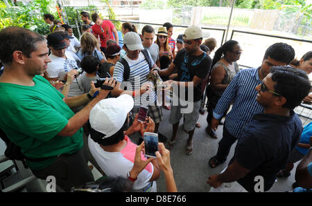 Tourists visit an alligator farm at the Everglades National Park and attend a snake show in Florida City, USA, 26 May 2013. Photo: Thomas Eisenhut Stock Photo