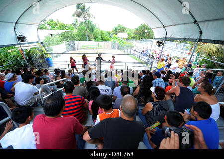 Tourists visit an alligator farm at the Everglades National Park and attend a snake show in Florida City, USA, 26 May 2013. Photo: Thomas Eisenhut Stock Photo