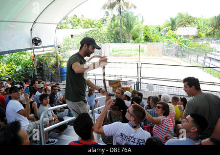 Tourists visit an alligator farm at the Everglades National Park and attend a snake show in Florida City, USA, 26 May 2013. Photo: Thomas Eisenhut Stock Photo