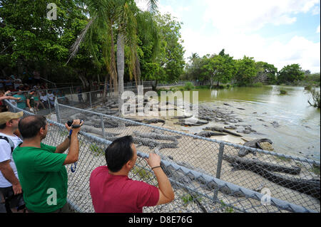 Tourists visit an alligator farm at the Everglades National Park and attend a show in which the animals are fed in Florida City, USA, 26 May 2013. Photo: Thomas Eisenhut Stock Photo