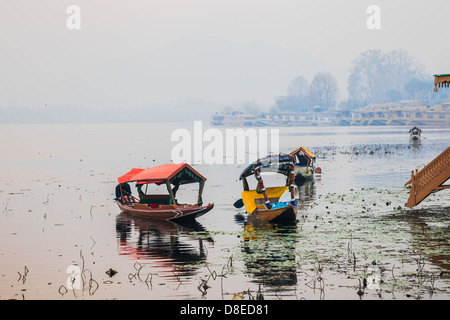 early morning in nageen lake, srinagar, india Stock Photo