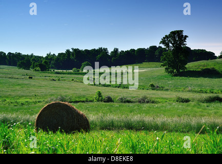 Moonlit farmlands in North Georgia, USA. Stock Photo