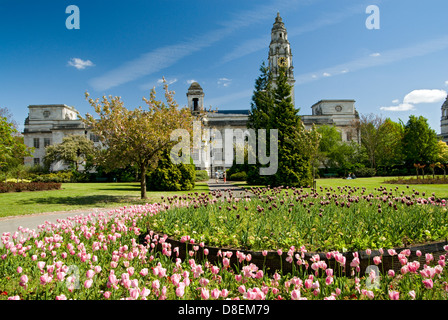 Alexandra Gardens and City Hall, Cathays Park, Cardiff, South Wales. Stock Photo