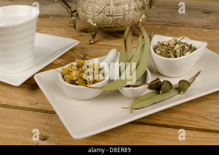 Healthy herbs to prepare an aromatic infusion Stock Photo