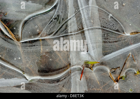 Puddle ice patterns Greater Sudbury  Ontario Canada Stock Photo