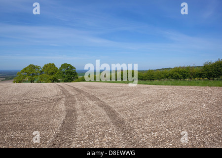 Views over the vale of York from chalky cultivated fields in the Yorkshire wolds, England under a hazy blue sky in springtime Stock Photo