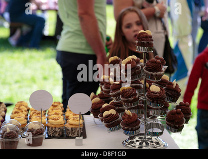 Cupcakes for sale at Game and Country Fair 26th May 2013, Burghley House, Stamford, Lincolnshire, England Stock Photo