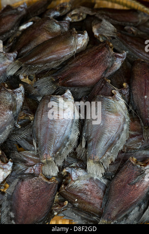 Dried Fish on a Market in Phnom Penh, Cambodia Stock Photo