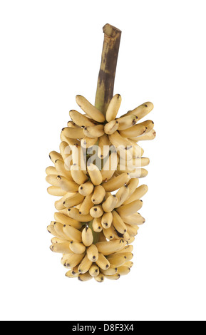 A bunch of ripe bananas Stock Photo