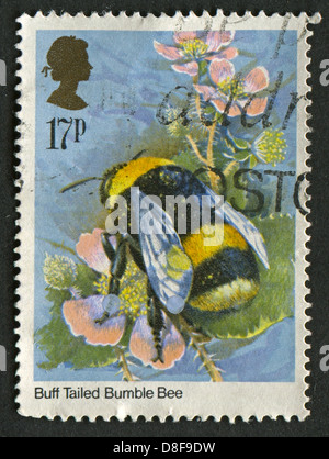 UK - CIRCA 1985: A stamp printed in UK shows image of the Bombus terrestris (bee) Insects, circa 1985.  Stock Photo