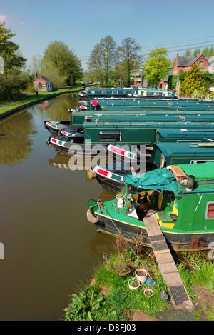 Narrow boats moored up in a marina next to the Staffordshire and Worcestershire canal at Great Haywood, Staffordshire Stock Photo