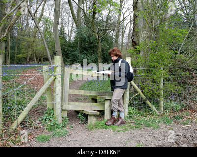 Lady Hiker reading a Map by a stile on a rural English woodland Footpath Stock Photo