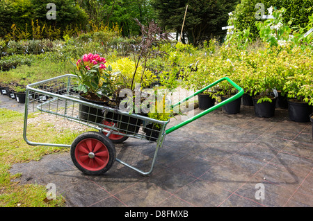 Garden Centre, UK Stock Photo