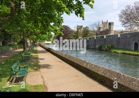 Moat surrounding the Bishops Palace in Wells, Somerset, UK, England - with Cathedral in background Stock Photo