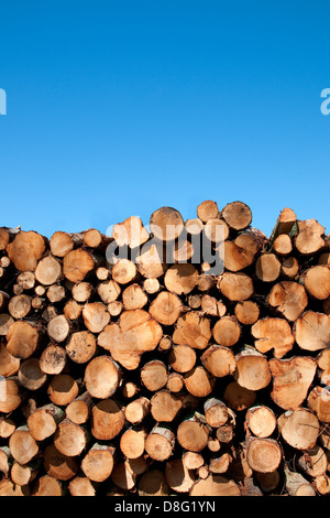 pile of tree trunks and blue sky Stock Photo