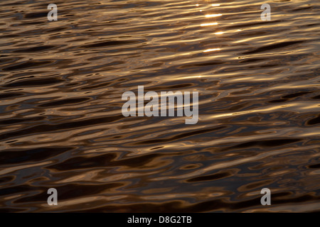 Sunset reflected in ripples on the water, The Weirs, South Walsham Broad, the Norfolk Broads, England, UK. Golden coloured water reflecting a sunset Stock Photo