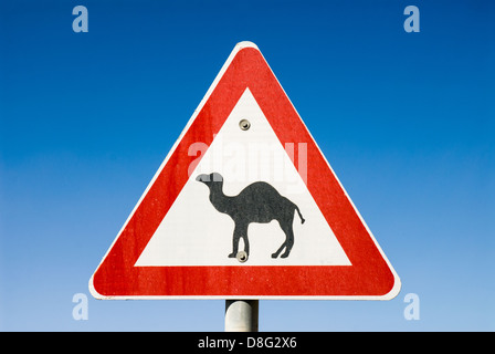Road sign about loose camels on a way through the Negev desert,Israel Stock Photo