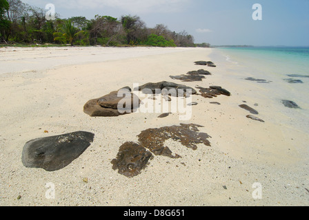 Sunny tropical beach in Chapera island shore Stock Photo