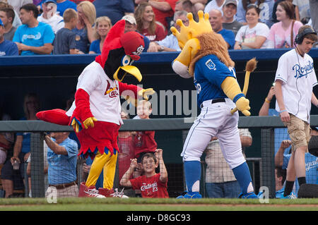 Former St. Louis Cardinals first baseman Keith Hernandez gets a ride from  the Cardinals mascot Fredbird before pulling down the number 36 off of the  Busch Stadium rightfield wall during a game