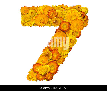 Alphabet from yellow and orange flowers Stock Photo