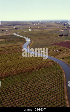 An aerial view of extensive apple and pear orchards, showing neatly arranged rows of trees. This scene highlights the systematic planting and cultivation of fruit trees, with clear rows visible from above. Stock Photo