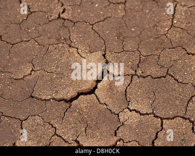 The cracked, dried mud on the beach creates a unique pattern in the sand. The image highlights the effects of evaporation and low tide, showcasing the dry texture of the mud. Stock Photo