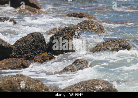 waves hitting the rocks in the ocean Stock Photo