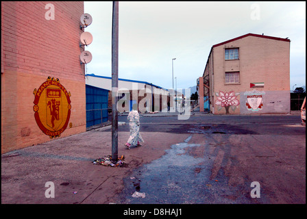 wall art,Lotus River,Cape Town,2010 Stock Photo