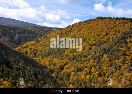 View from the Ilsestein / Ilsestone near Ilsenburg in the Ilse valley, Harz mountains, Thale, Saxony-Anhalt, Germany Stock Photo