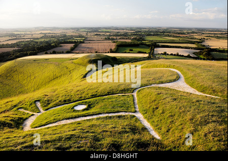 Uffington White Horse. Prehistoric Bronze Age chalk hill figure Oxfordshire, England. Close up over head, eye, ears and neck Stock Photo