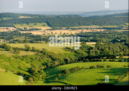 South east from Ragleth Hill above Church Stretton over Ape Dale toward Wenlock Edge, Shropshire, England. Summer farmland Stock Photo