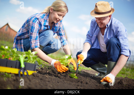 Image of couple of farmers seedling sprouts in the garden Stock Photo