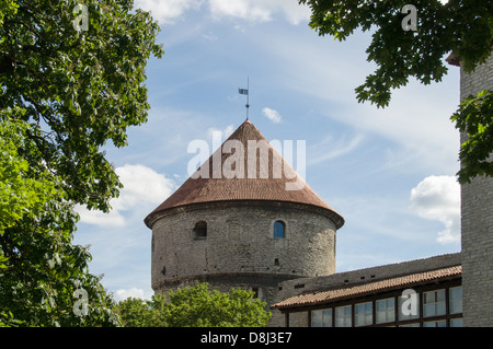 Kiek in de Kok, Cannon Tower, Tallinn, Estonia Stock Photo