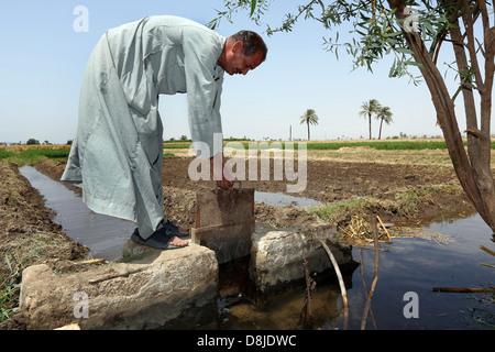 Farmer opens a smal water canal from river Nile. Irrigation system to water his farmland, Upper Egypt Stock Photo