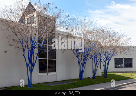 Crepe Myrtles at the Harn Museum were painted blue by artist Konstantin Dimopoulos for a UF campus-wide public art project. Stock Photo