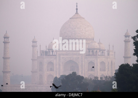 Taj Mahal in early morning mist Stock Photo