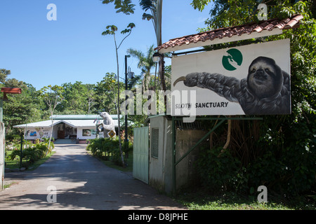 Sloth Sanctuary, about 11km north of Cahuita, Costa Rica Stock Photo