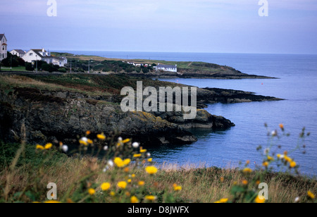 Looking out to sea at Bull Bay Anglesey Stock Photo