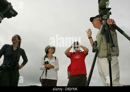 This image captures a professional photographer engaging in conversation with a group of people during a break. The scene reflects a collaborative and creative atmosphere, with the photographer and individuals discussing the shoot or ideas during the pause. It showcases the behind-the-scenes dynamics of a professional photoshoot. Stock Photo