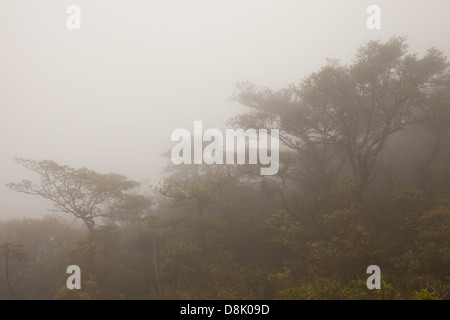 Misty landscape in General de Division Omar Torrijos Herrera national park (El Cope), Cordillera Central, Cocle province, Republic of Panama. Stock Photo