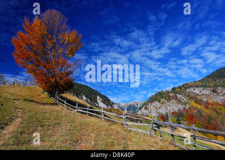 Autumn rural landscape in Romania, Piatra Craiului, Carpathian Mountains Stock Photo