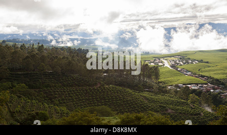 Coffee Plantations, Valle Central, Highlands, Costa Rica Stock Photo