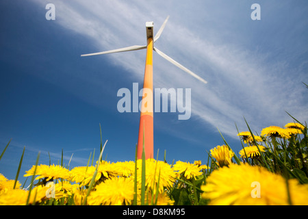 Colourful wind turbines in polders, reclaimed land near Almere, Flevoland, Netherlands. Stock Photo